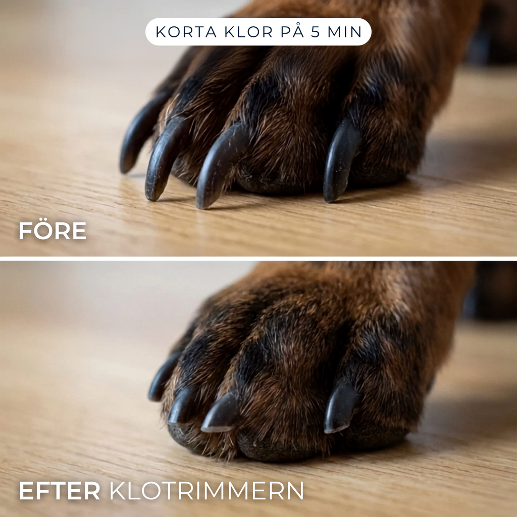 Klotrimmern